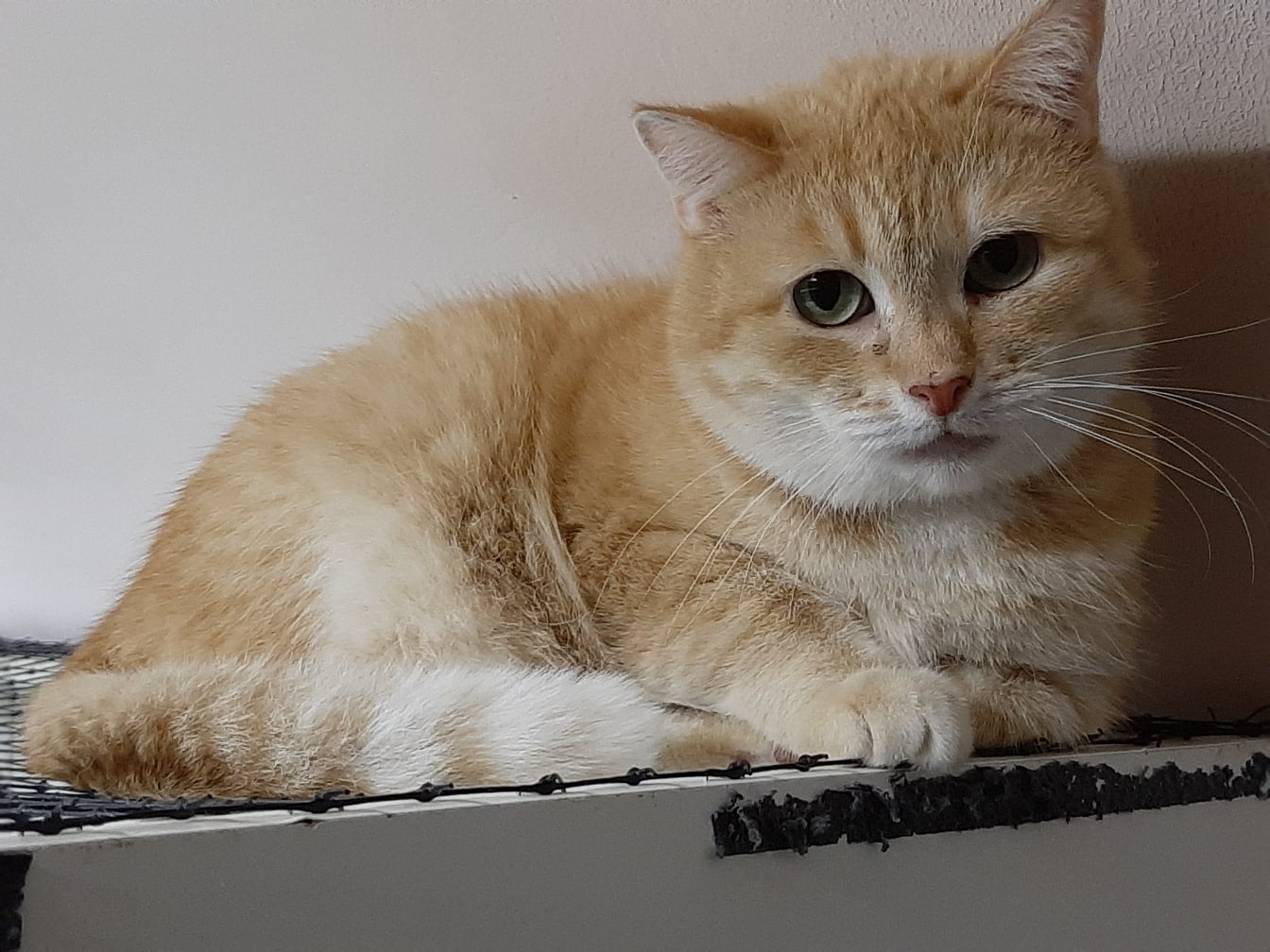 Я опять наказан