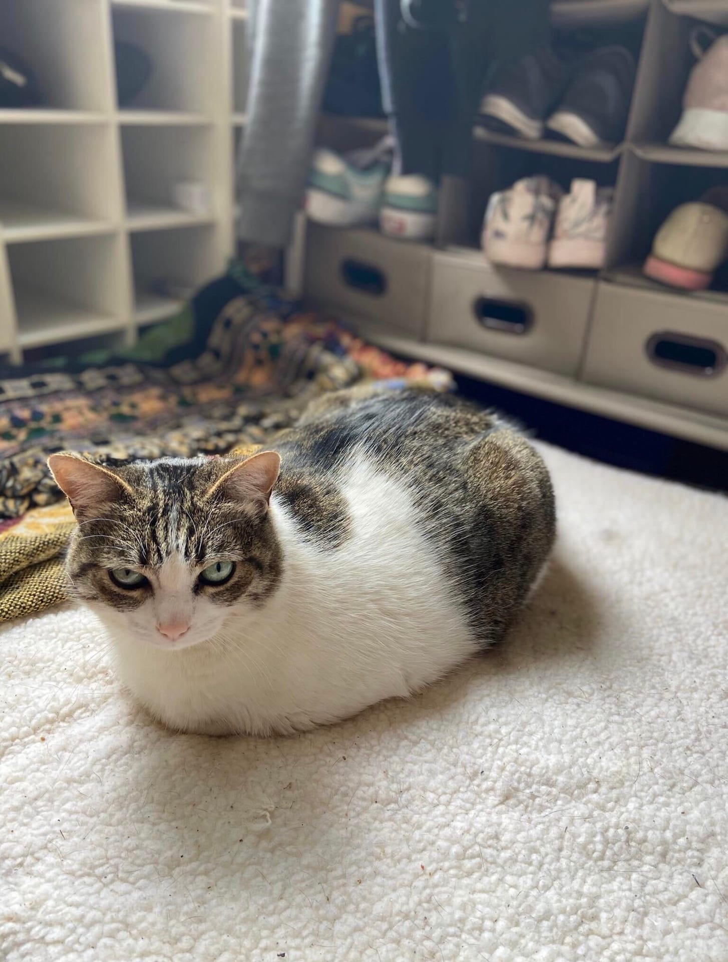 Закройте дверь с той стороны, я хочу побыть одна