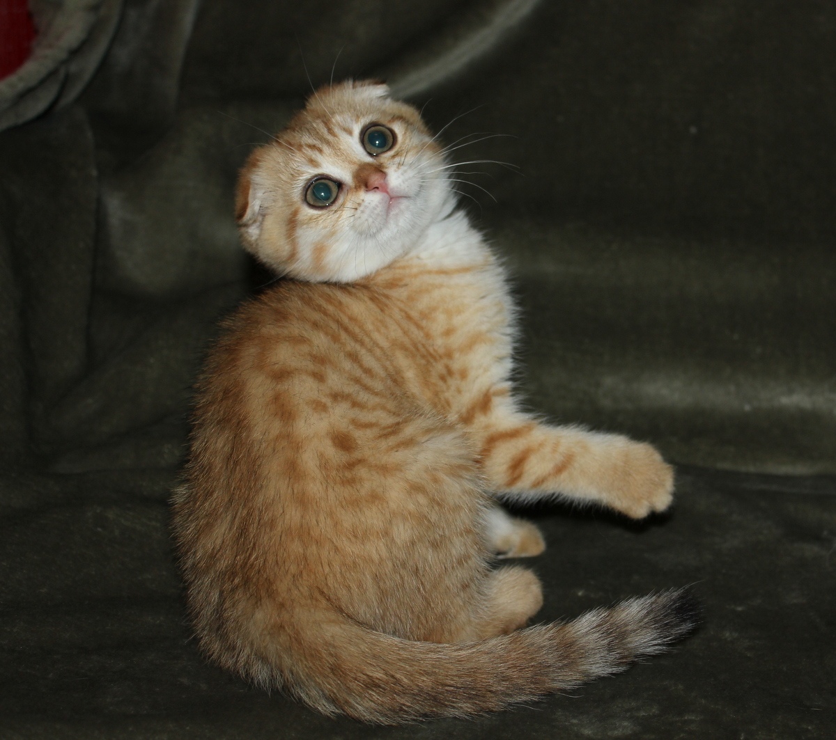 Что - то я устал, наверно лягу поспать