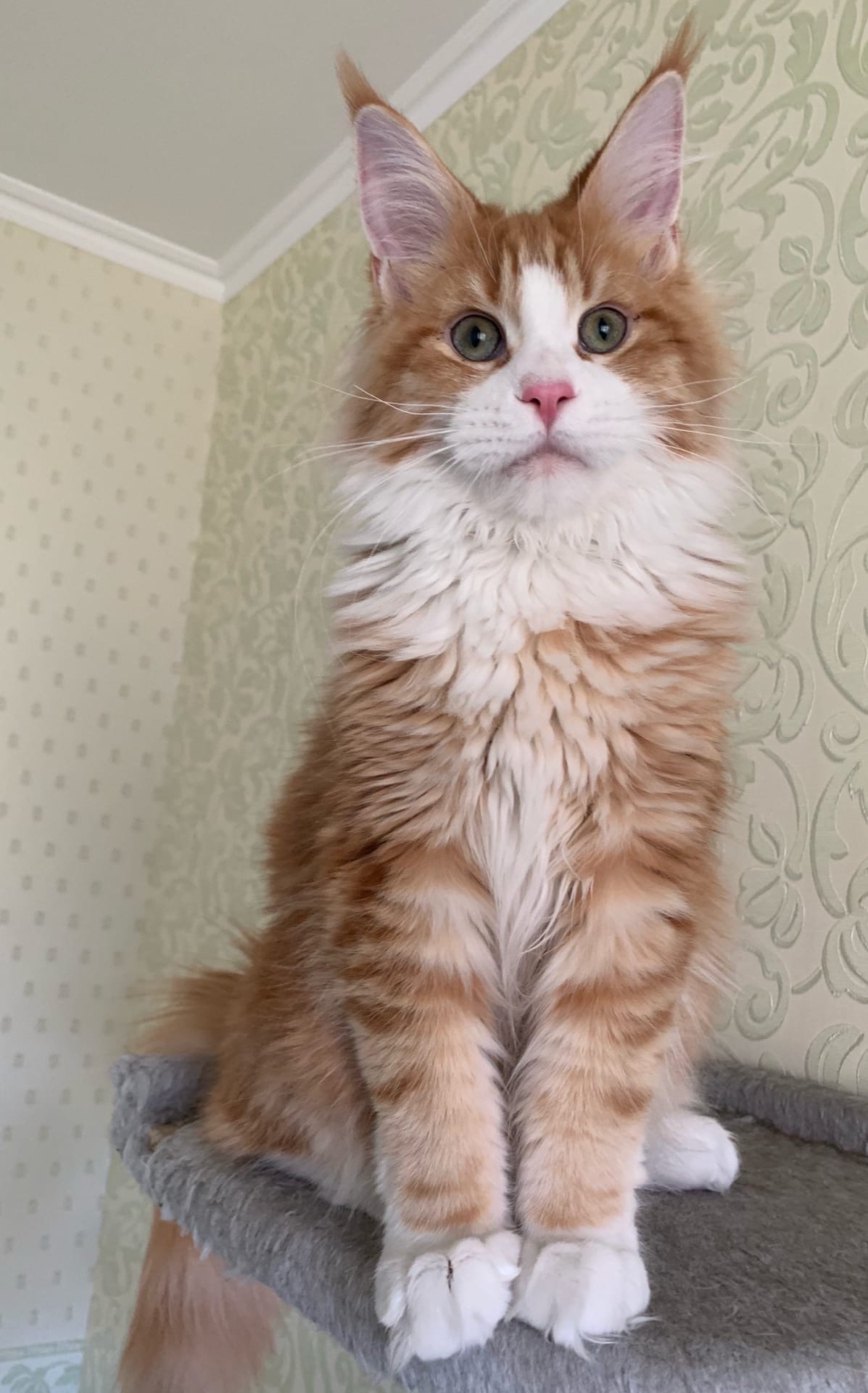 Позавтракал, зарядку сделал, что бы ещё поделать