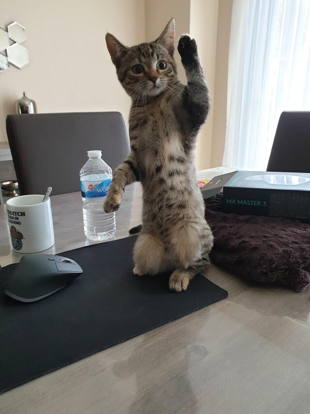 Минуточку внимания - я проголодался