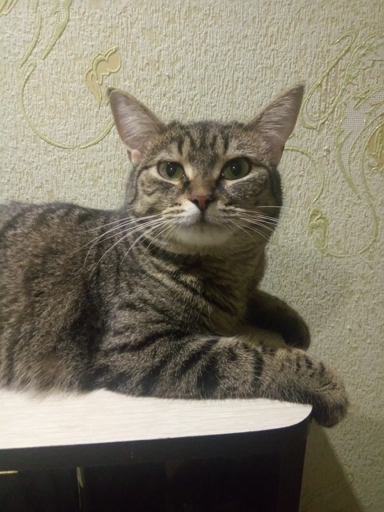 Перестаньте мне глаза мозолить, идите уже на работу