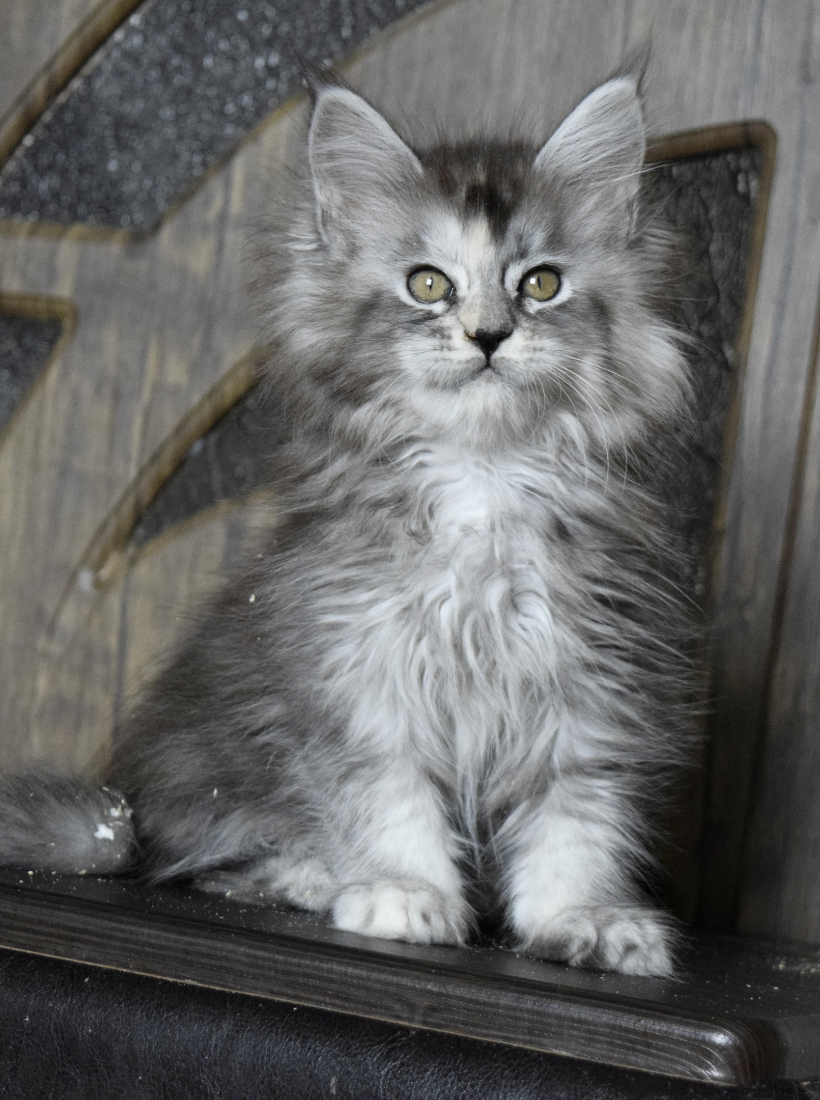 Я там немного пошалил, идите убирайтесь