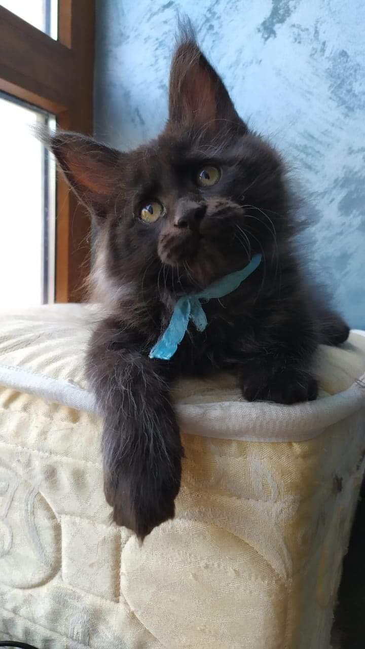 Я бы чем - нибудь занялся, да незнаю чем