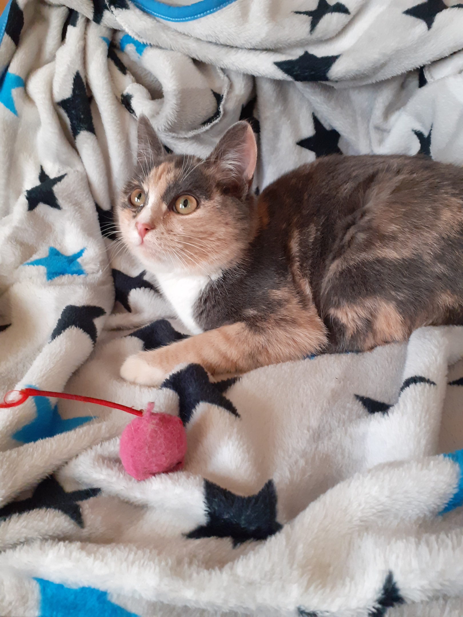 Я не буду играться, я уже взрослая