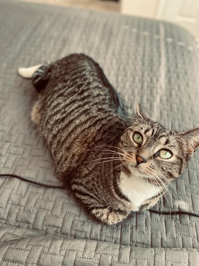 Вы мне завтрак приготовьте, а я пока полежу