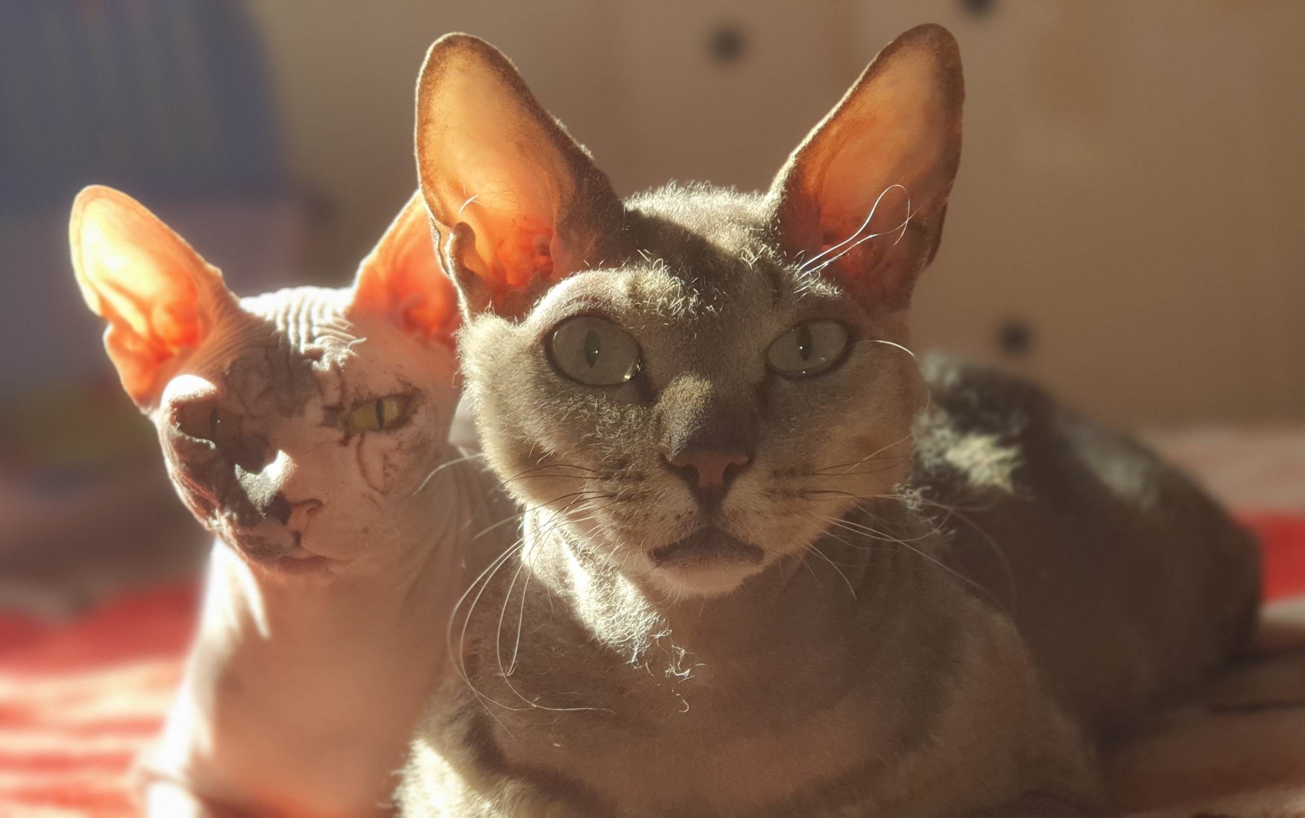 Есть проблемы, мы готовы Вас выслушать