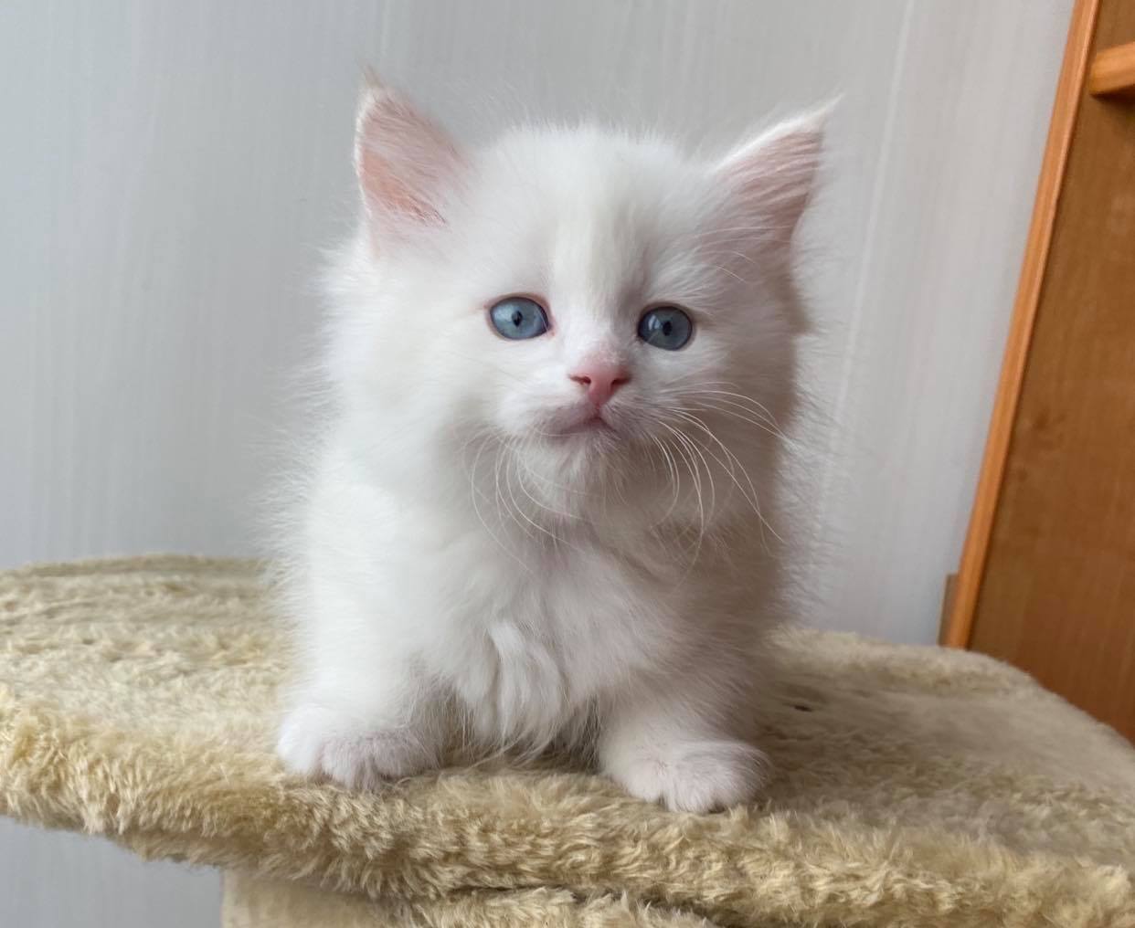 Вершину я покорила, теперь снимайте меня