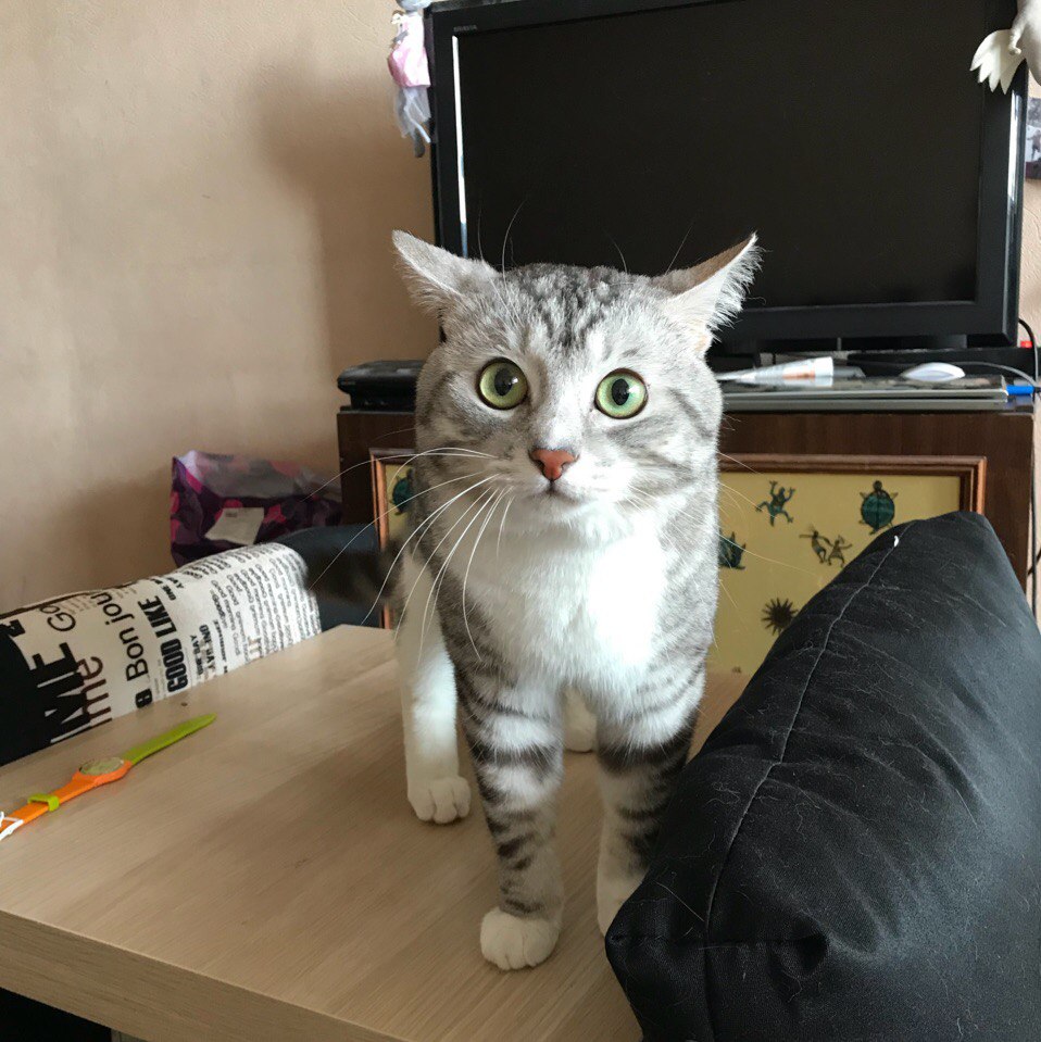 У нас телек сломался или электричество кончилось