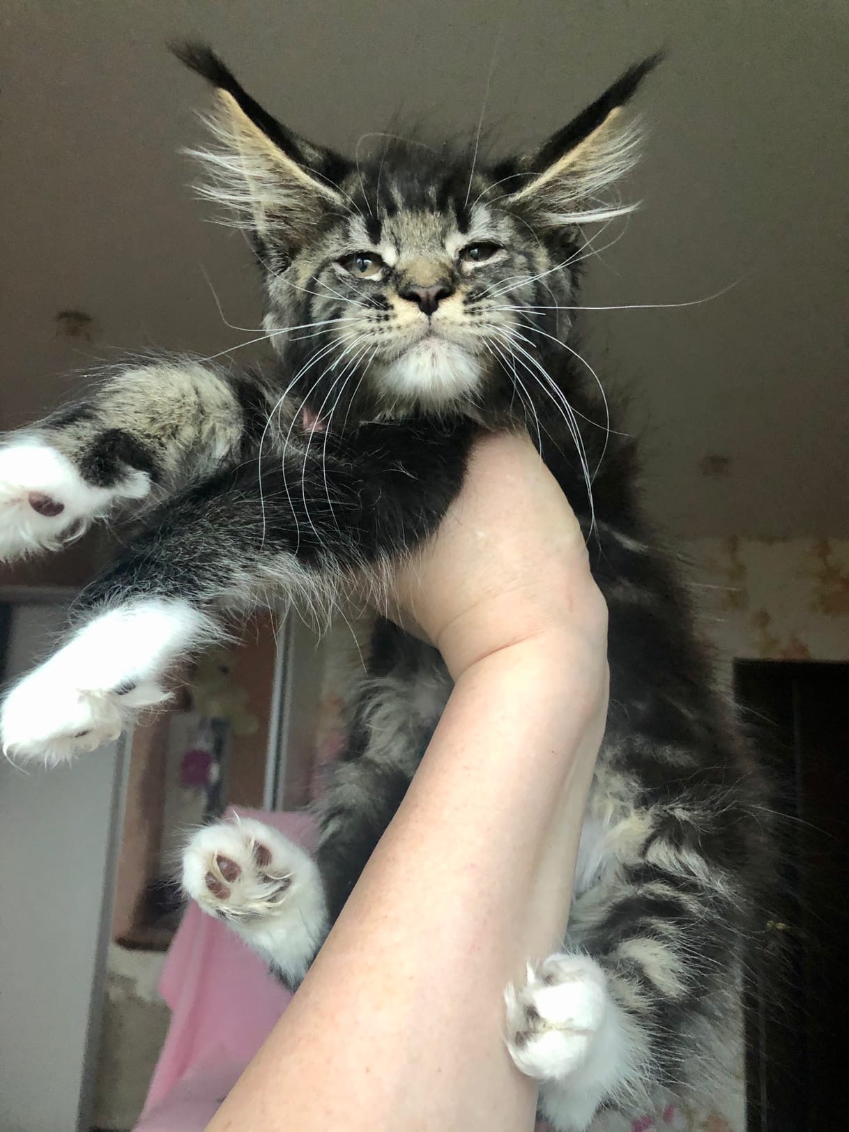 Выше поднимайте, я хоть раз в жизни натяжной потолок пощупаю