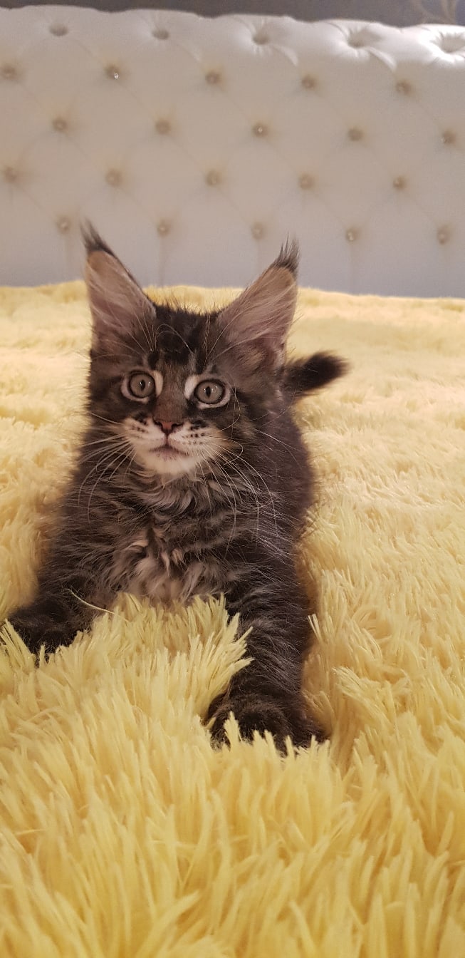 Поле для битвы свободно, ищу соперника