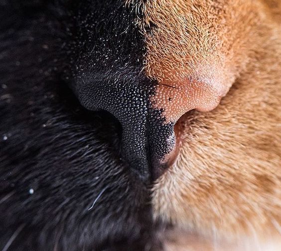 День и ночь на одном носу