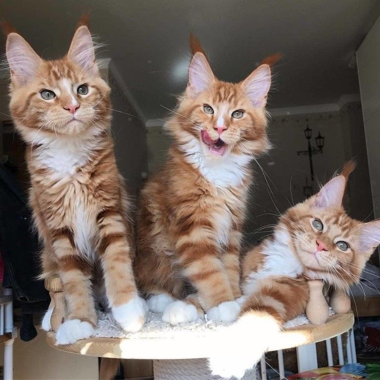 Утро только началось, а мы уже всё переделали