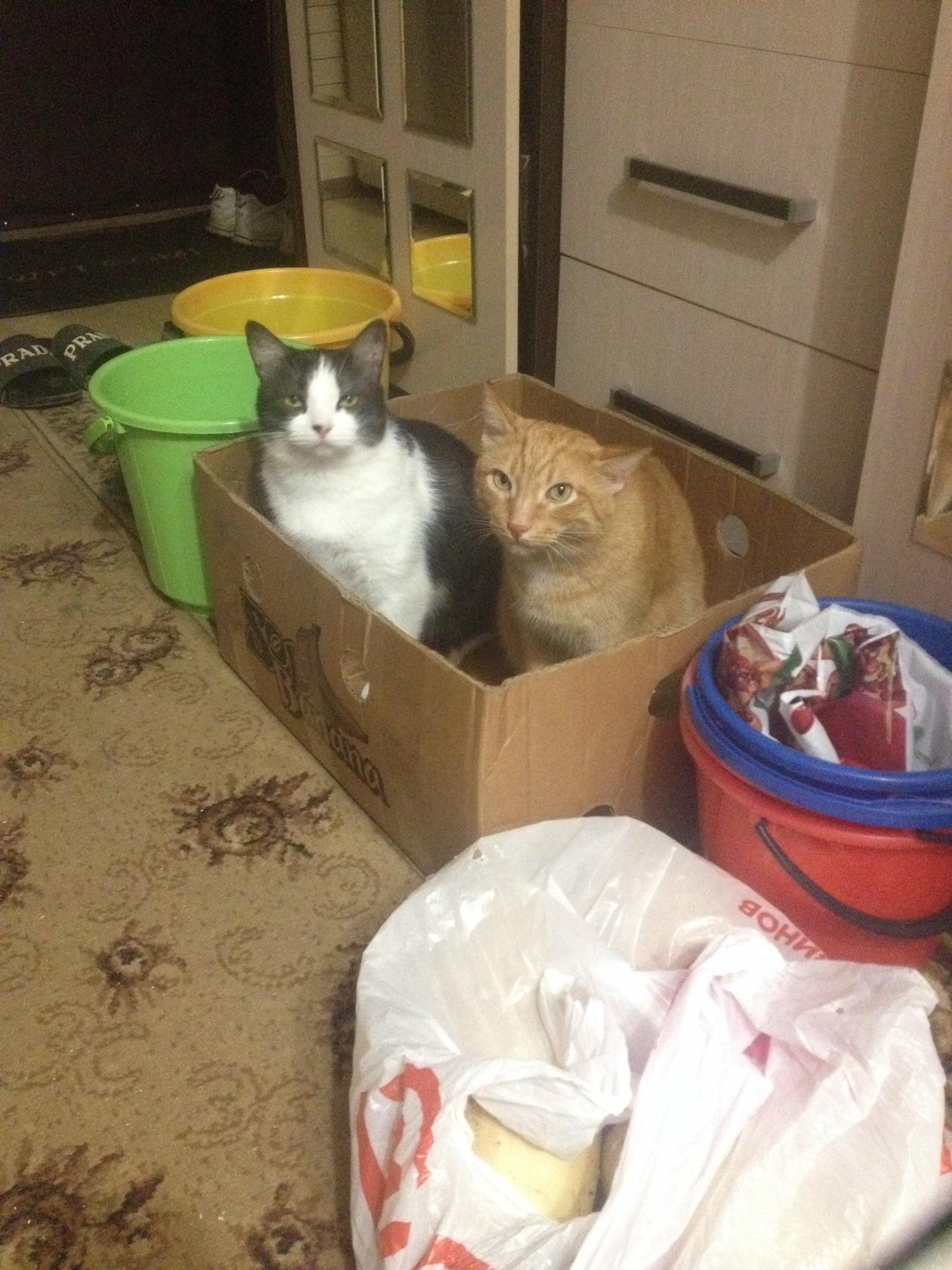 Ну, мы тут это, коробку заняли