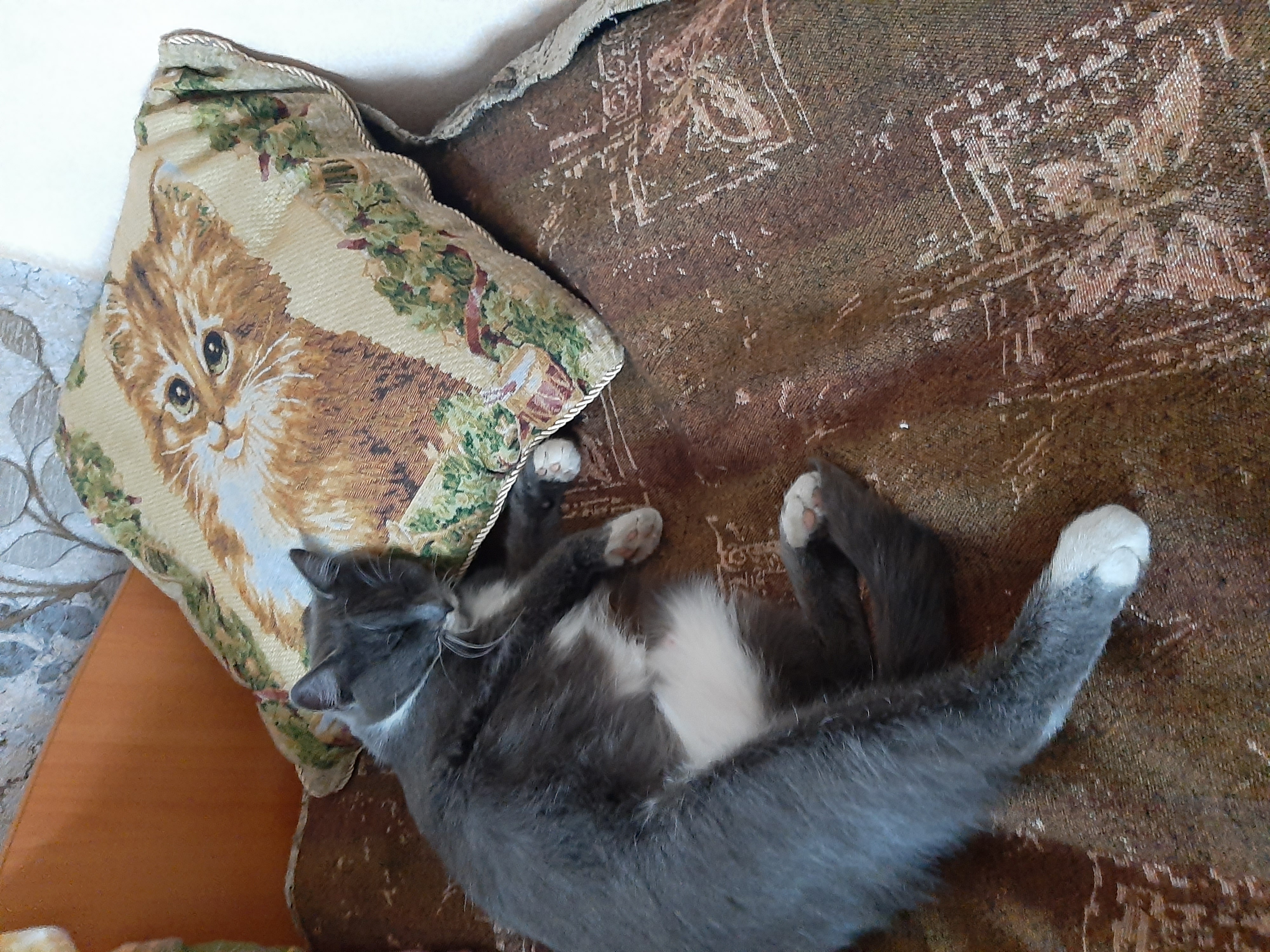 Поели - можно и поспать