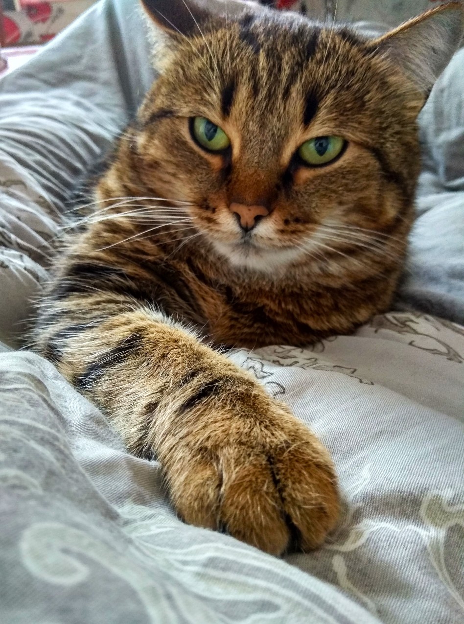 Вы уже встали, а я пожалуй ещё поваляюсь