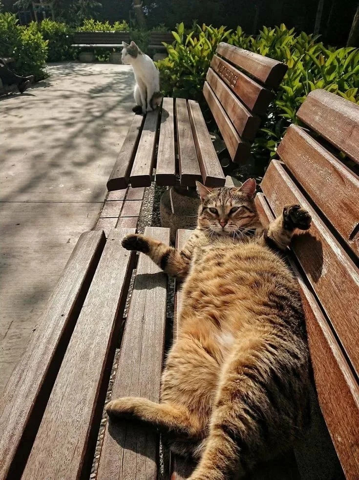 Я эту лавочку забронировал, поищите другую