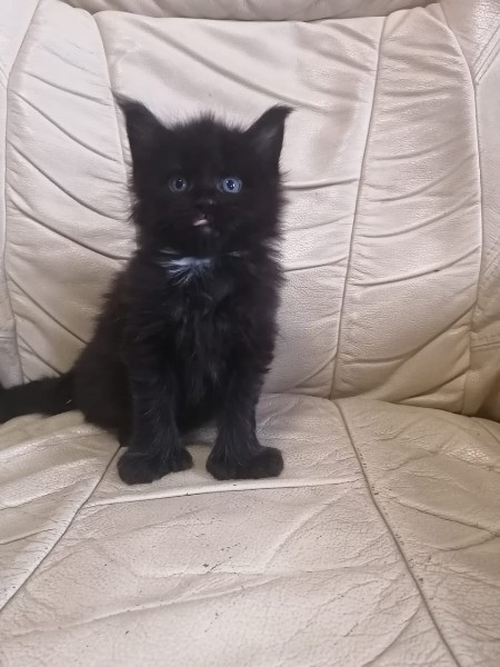 Можно мне поозорничать