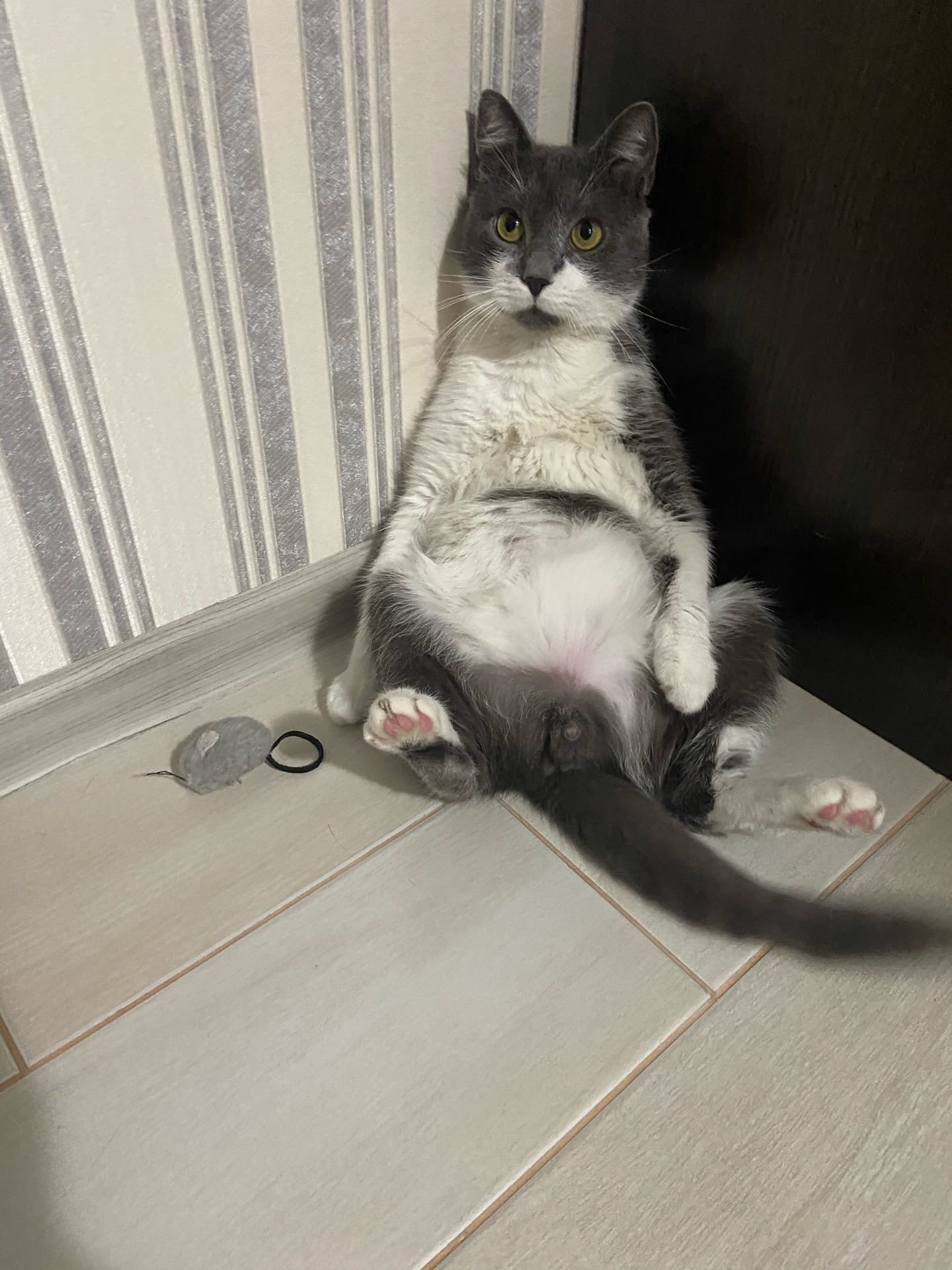 Я не буду стоять в углу, я буду сидеть