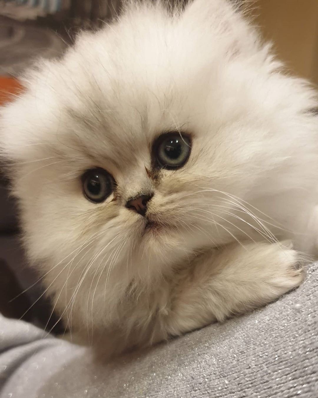 Сейчас я принцесса, а когда вырасту стану - королевой