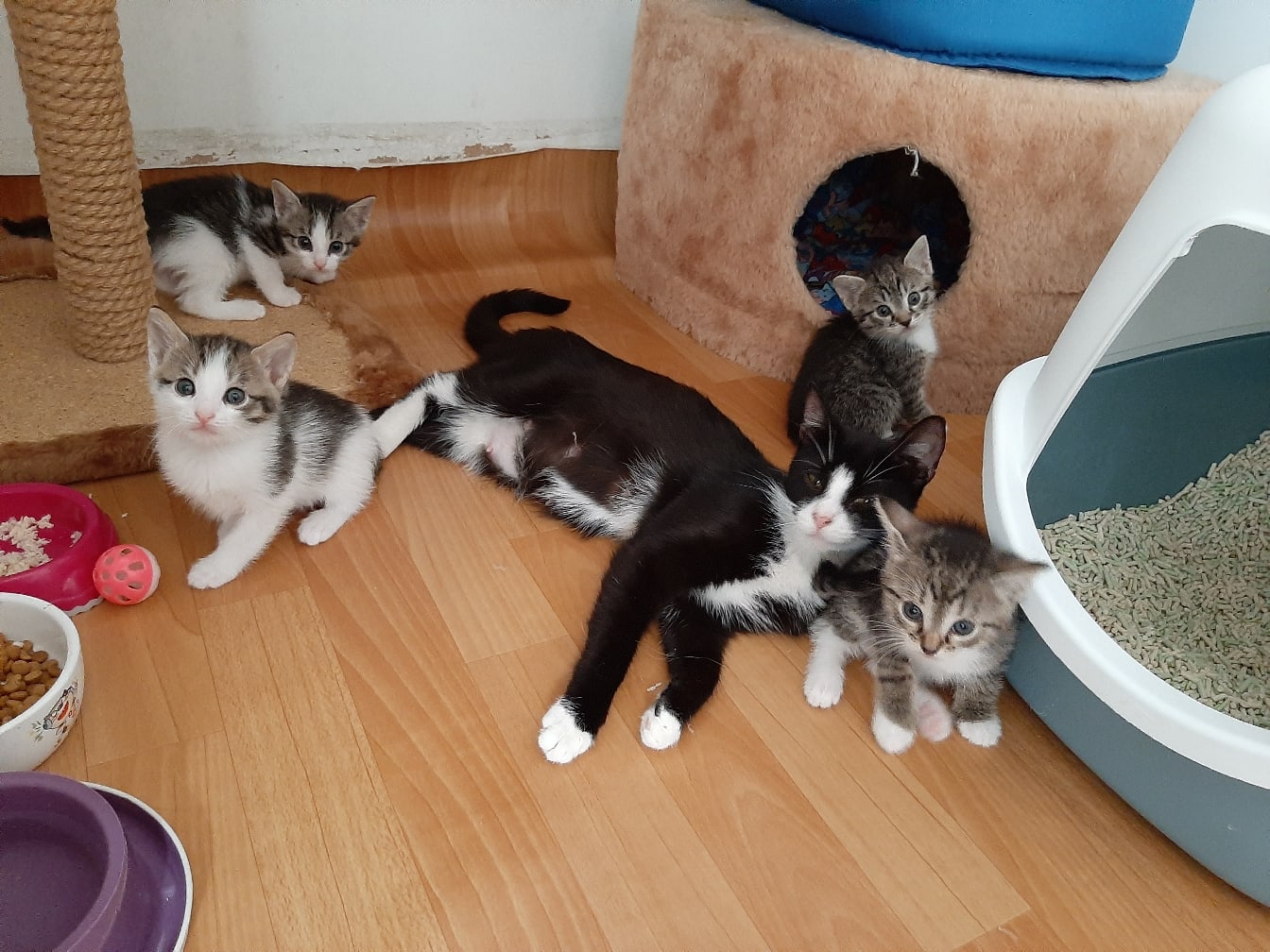 Дети - это счастье