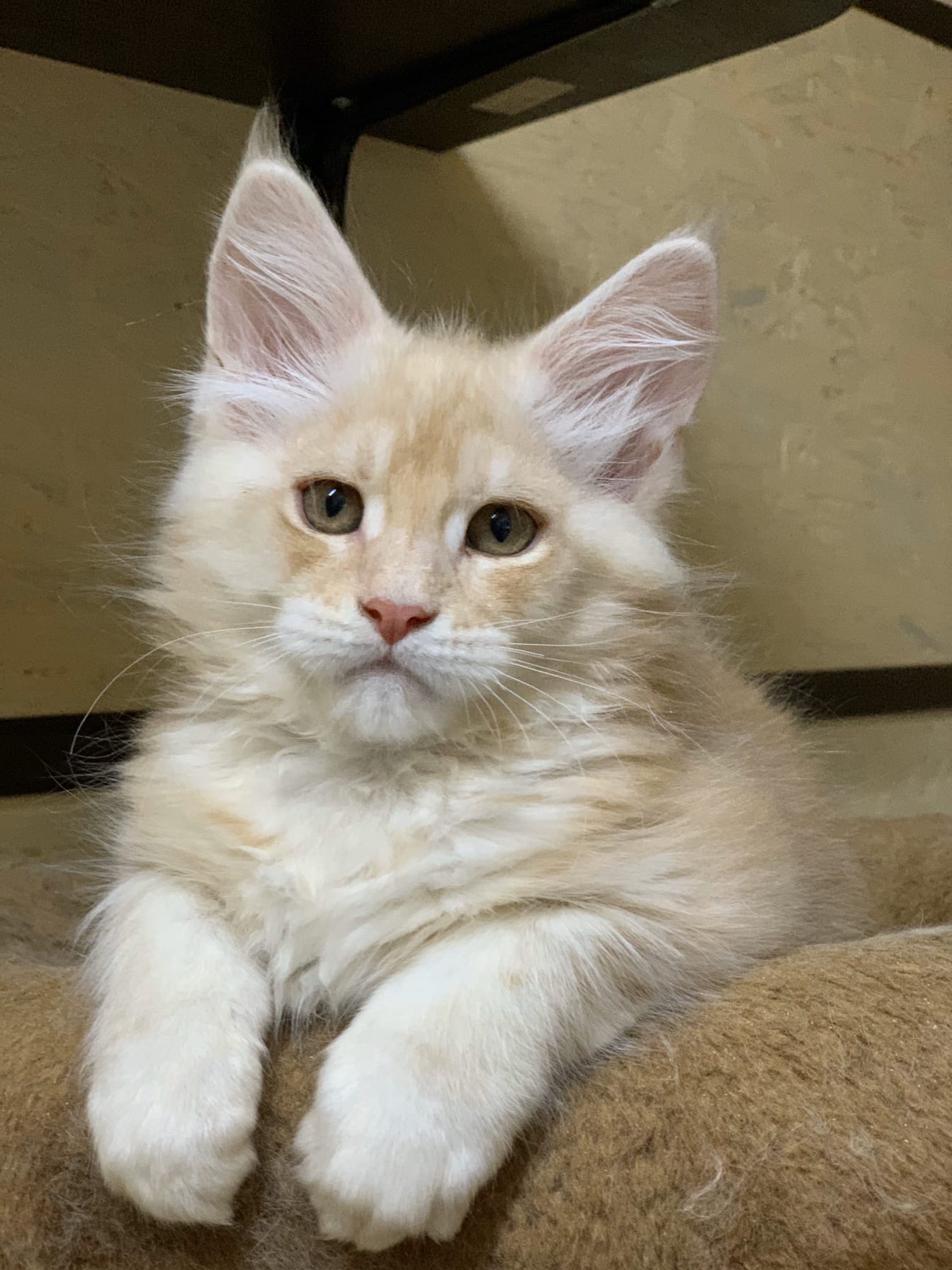 Что то мне одиноко и грустно