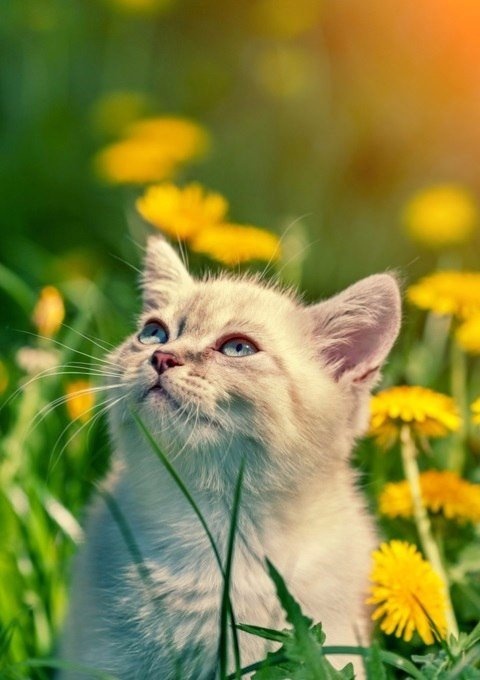 Вот оно, удовольствие