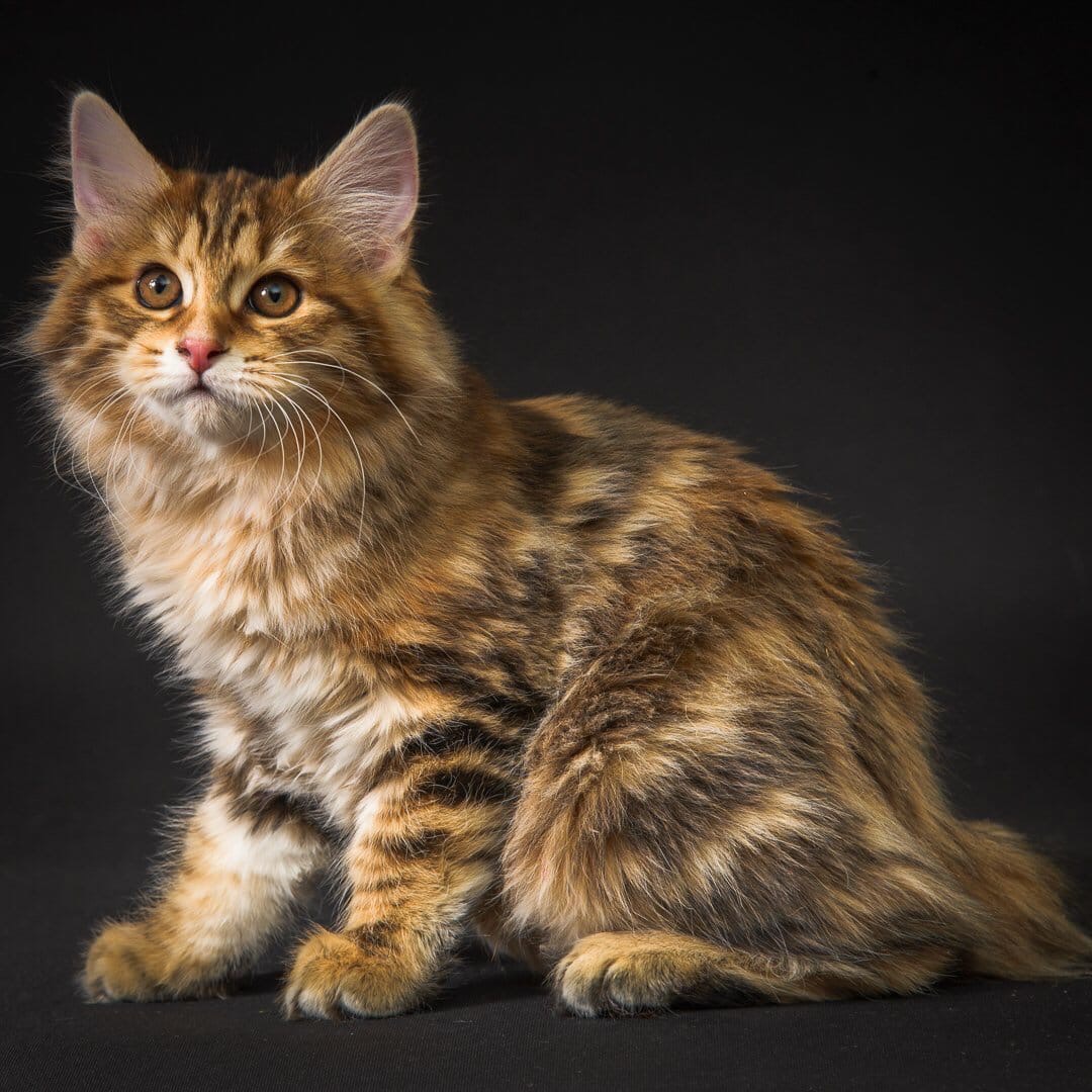 Сфоткайте меня красиво