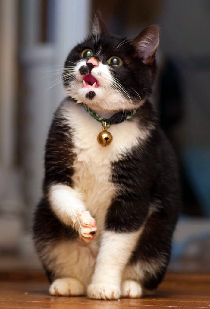 Мне говорят не мусорить, а сами