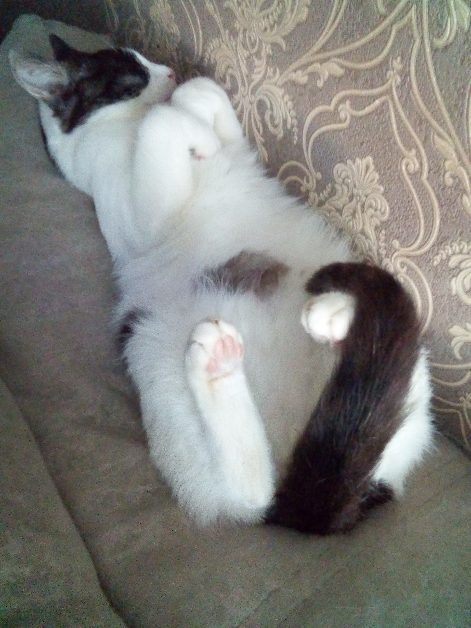 Такой милый Тошик, когда спит