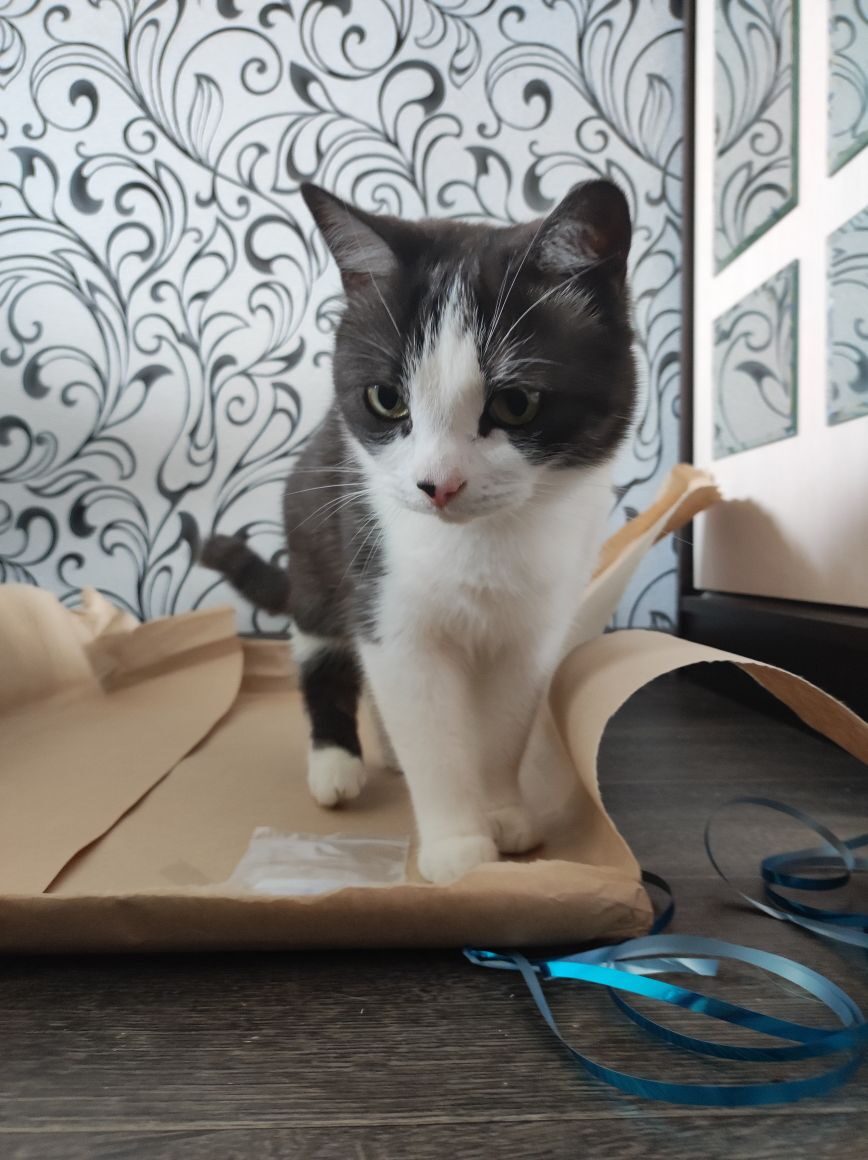 Что тут у Вас, новенького