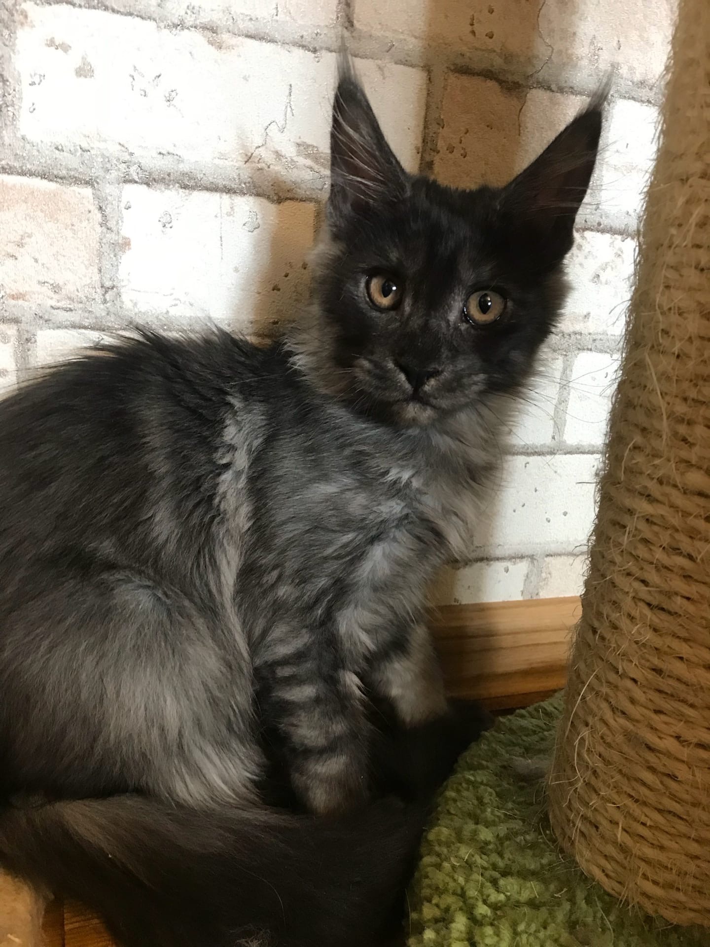 Я ещё не спрятался, а Вы меня уже нашли