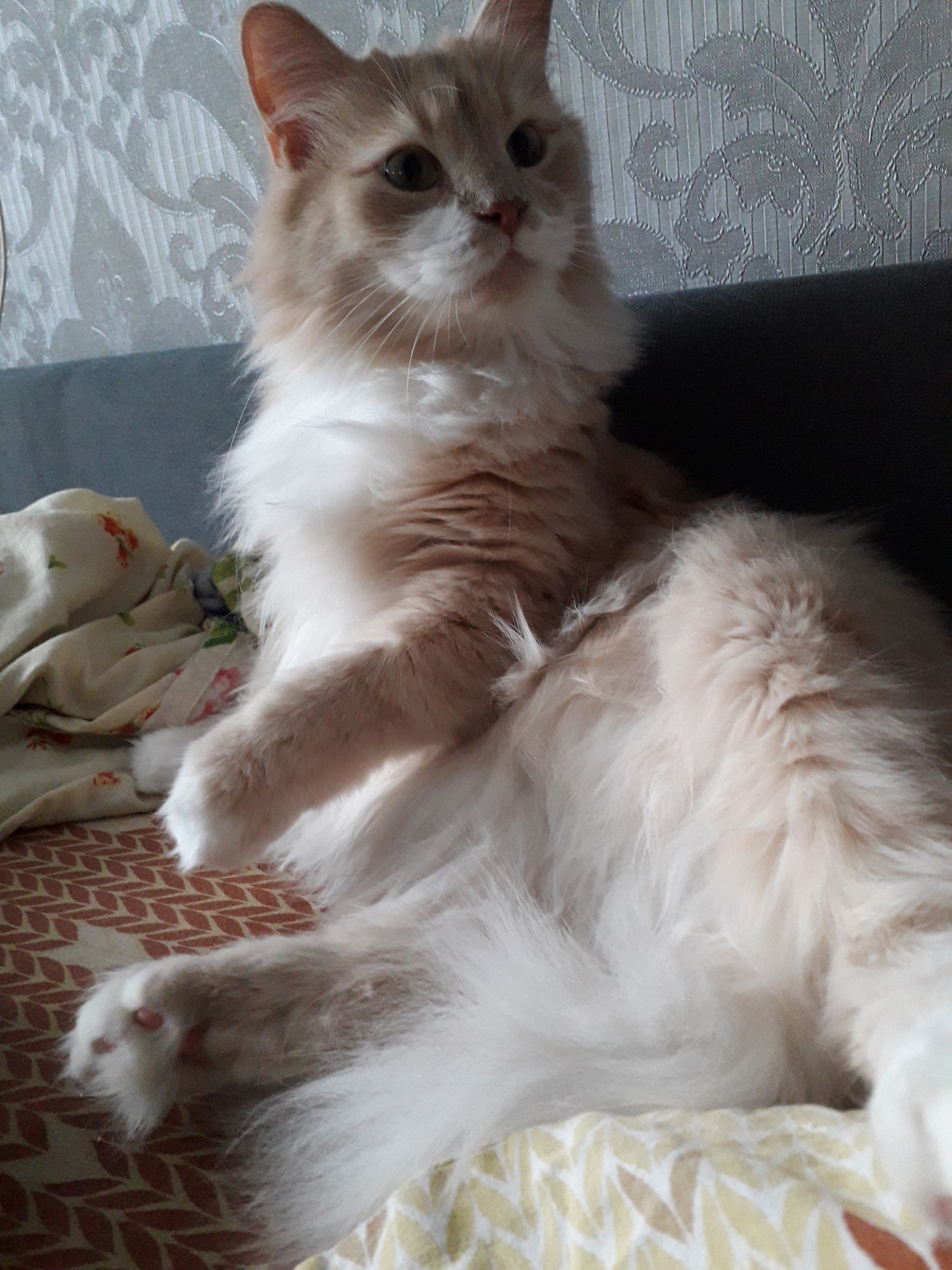 Кажется, кто - то завтракает без меня