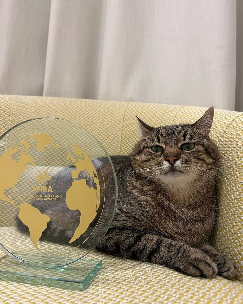 Победа Степана