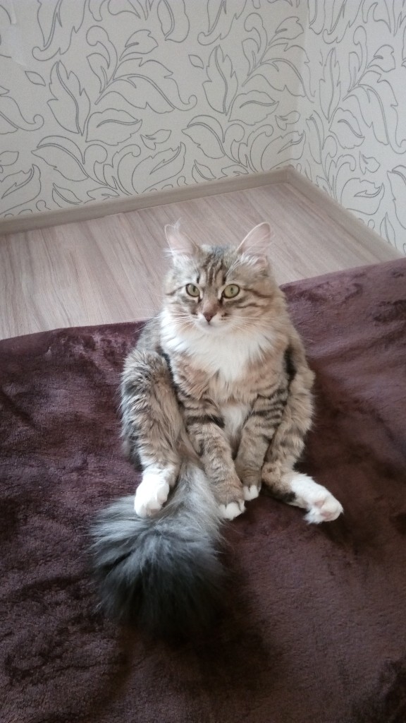 Заняться чем нибудь или продолжать сидеть