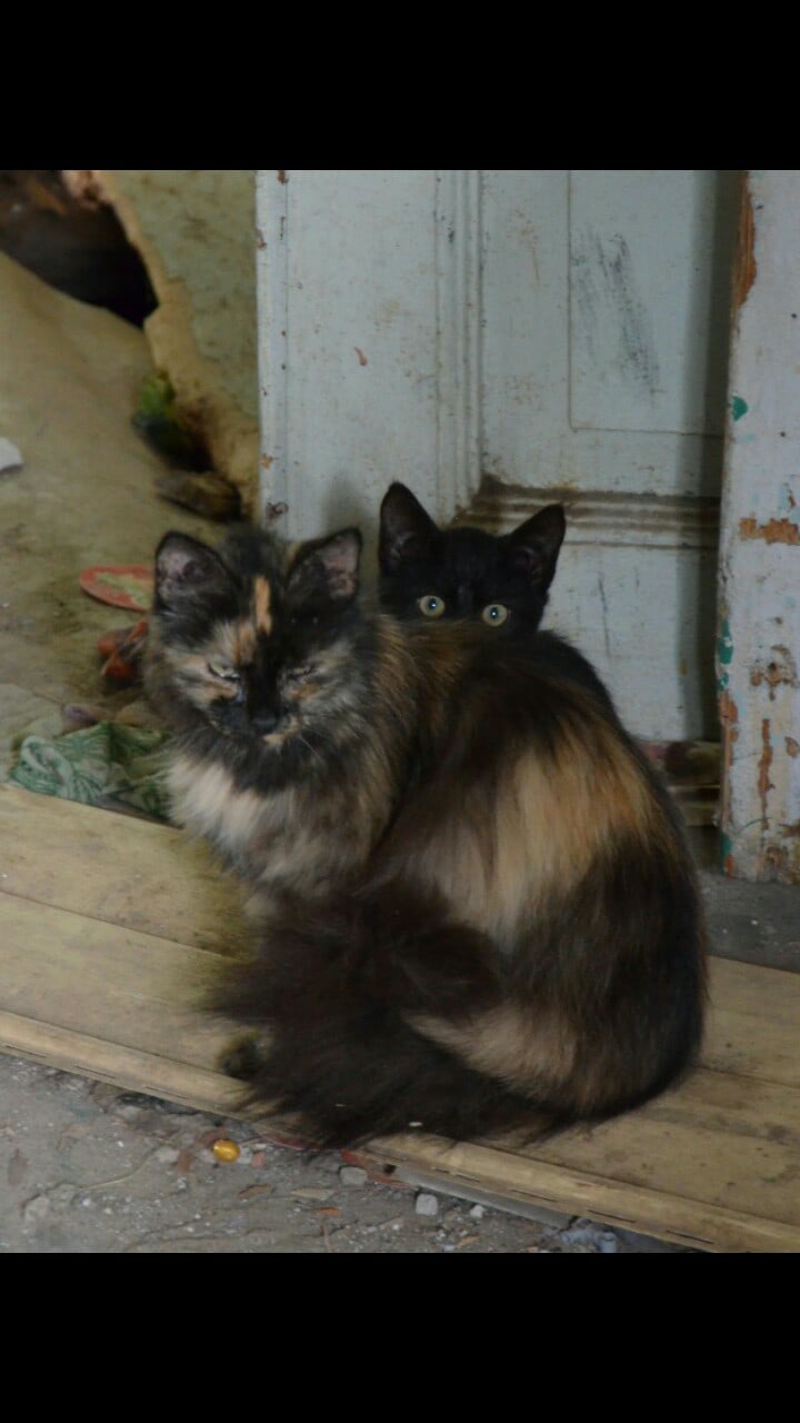 Вот так, мы и живём