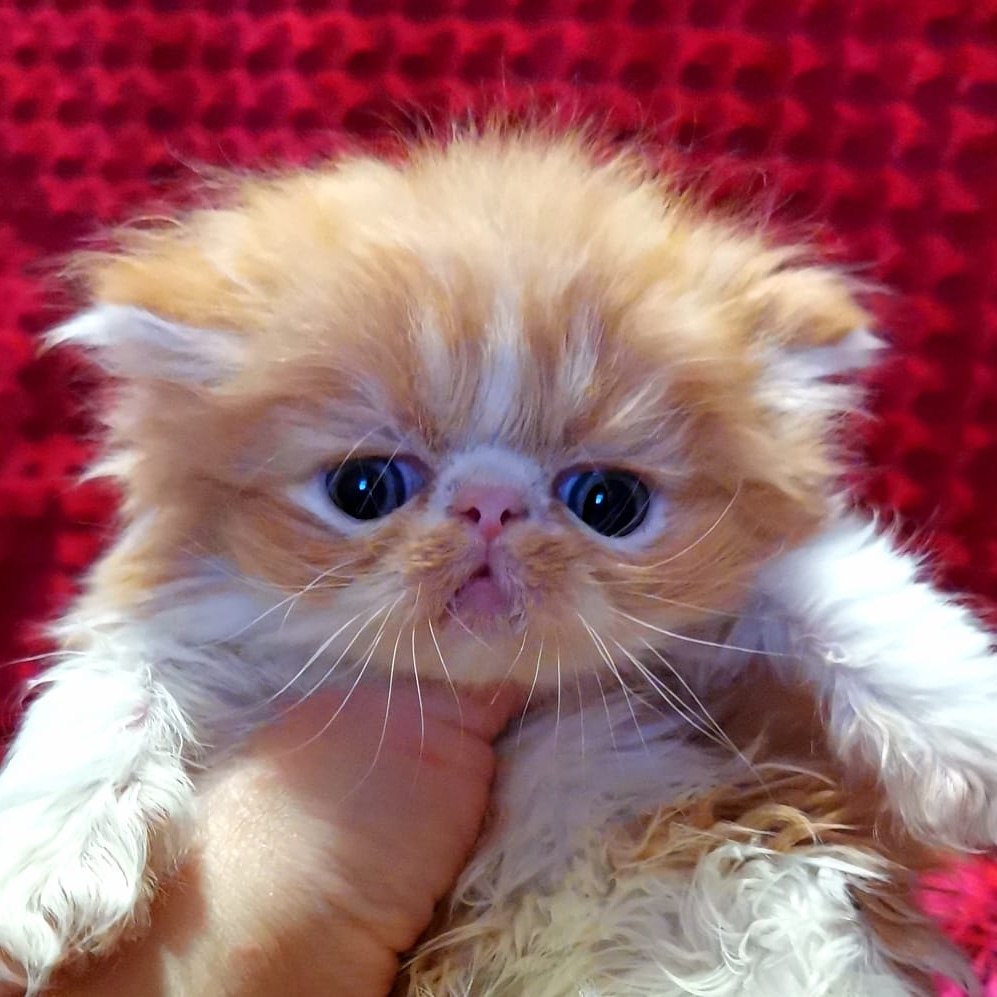 Положите меня обратно в постельку, я ещё не выспался