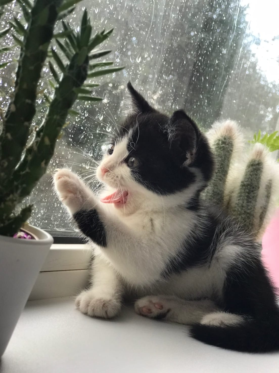 Всем пока, заходите ещё