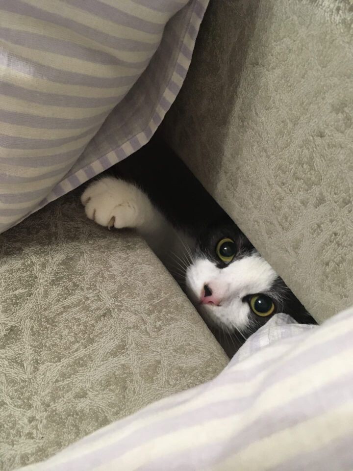 Когда же, Вы меня найдёте