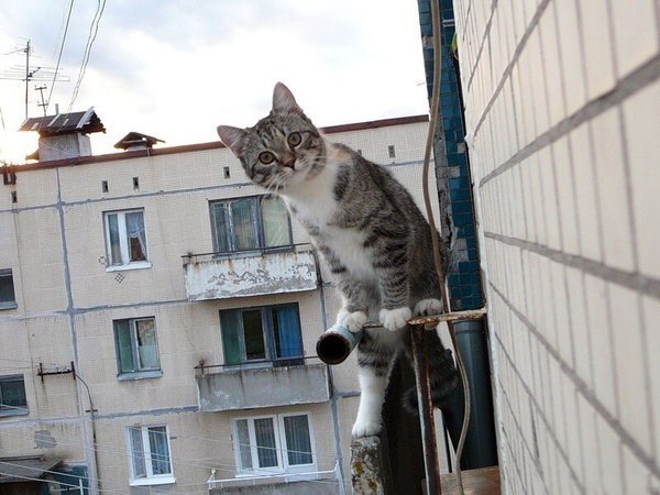 Ну что, телевизор запоказывал, я антенну поправил