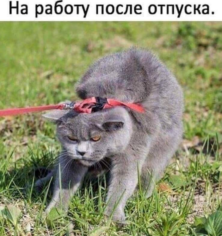 Считайте меня - тунеядцем