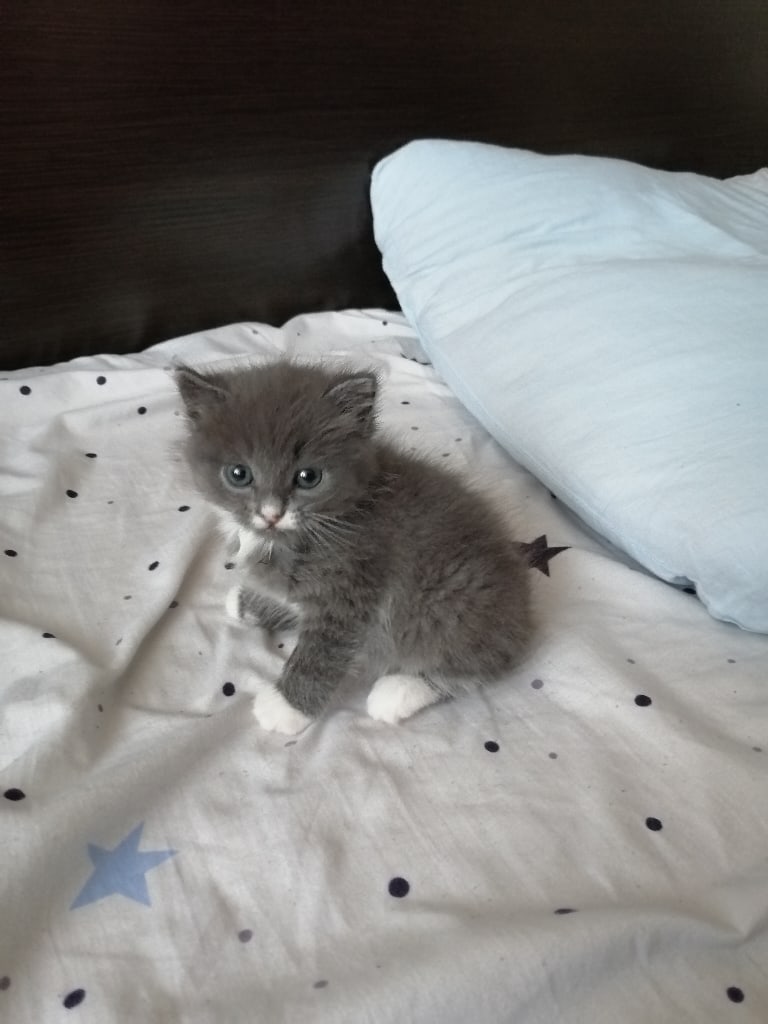 Опять никого нет, опять проснулся позже всех