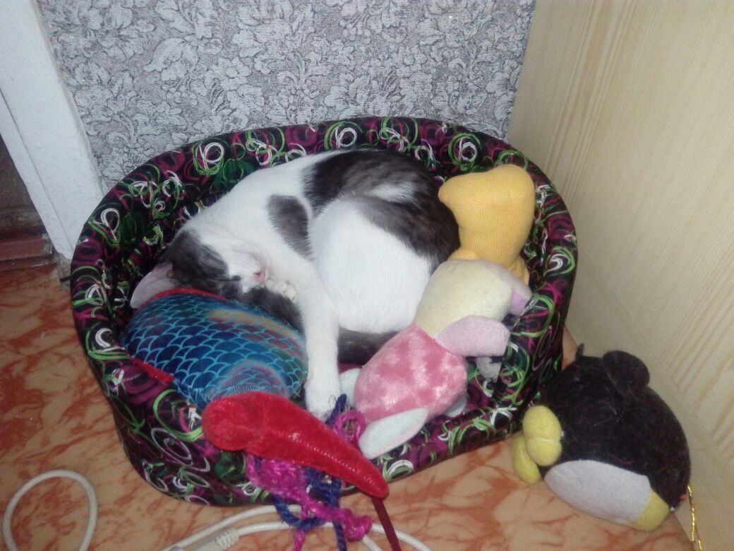 Всем нужен отдых - как Тошику, так и игрушкам