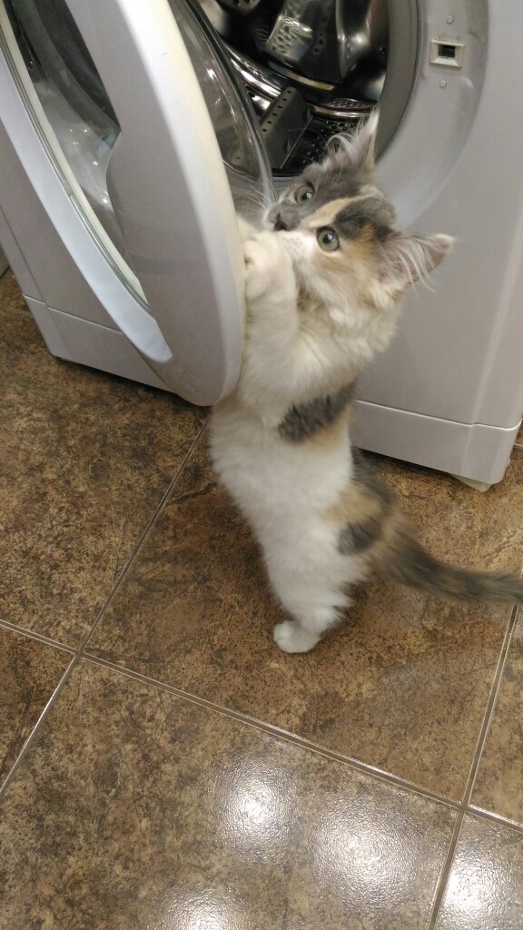 Надо разобраться - как это работает