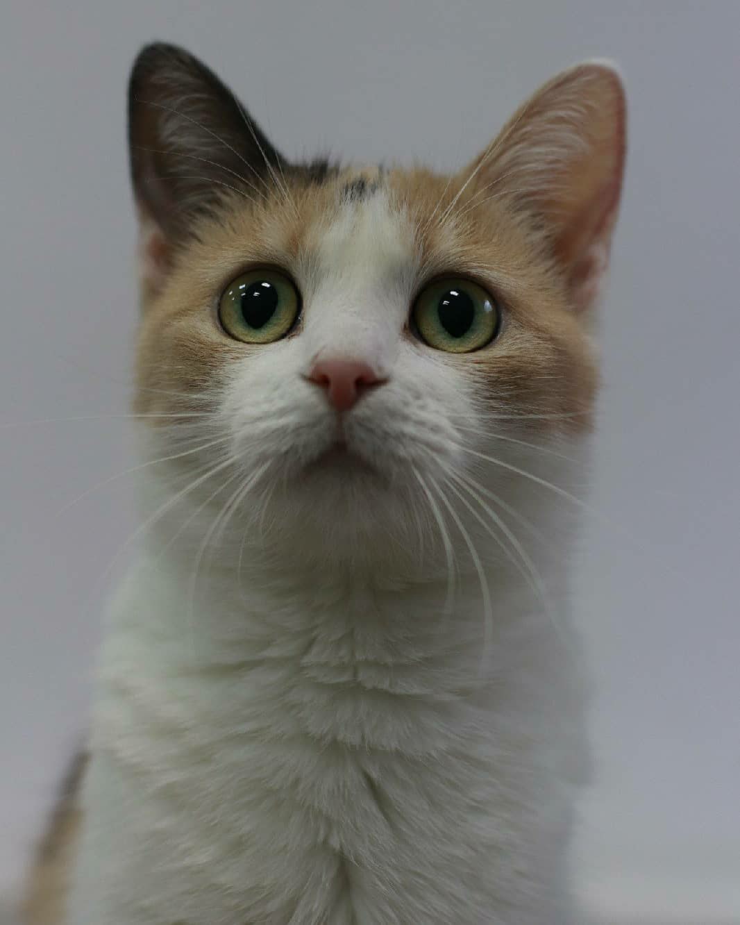 Вы проснулись, а улыбнулись