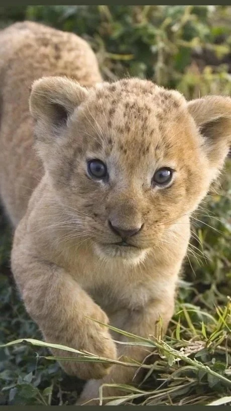 Не бойтесь, я с Вами поиграть хочу