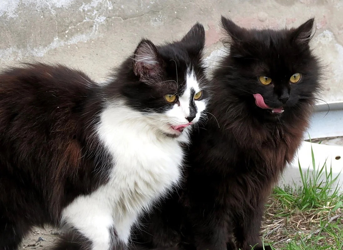 Ну вот, позавтракали, теперь пошли обед искать
