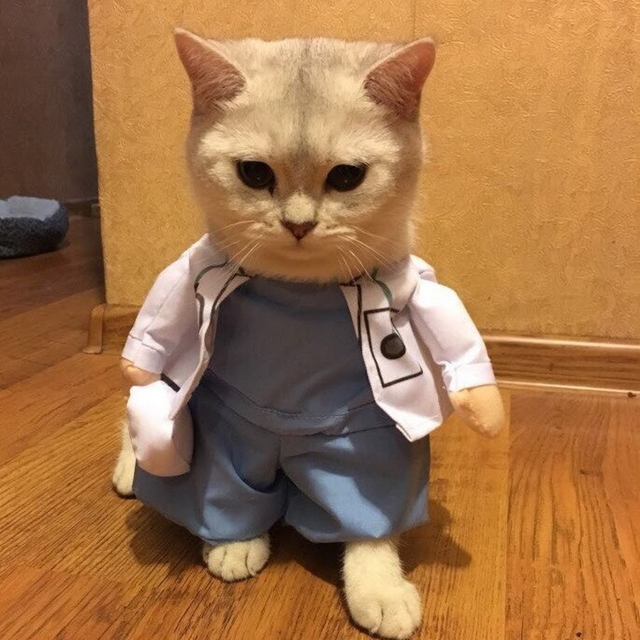 Здравствуйте, лечиться будем