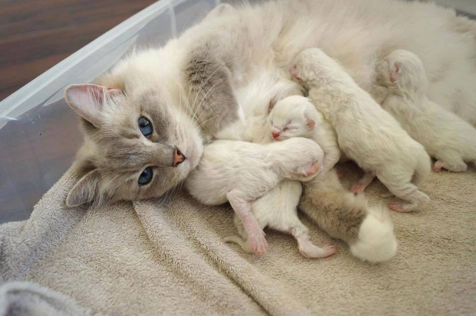 Вот оно, счастье материнское