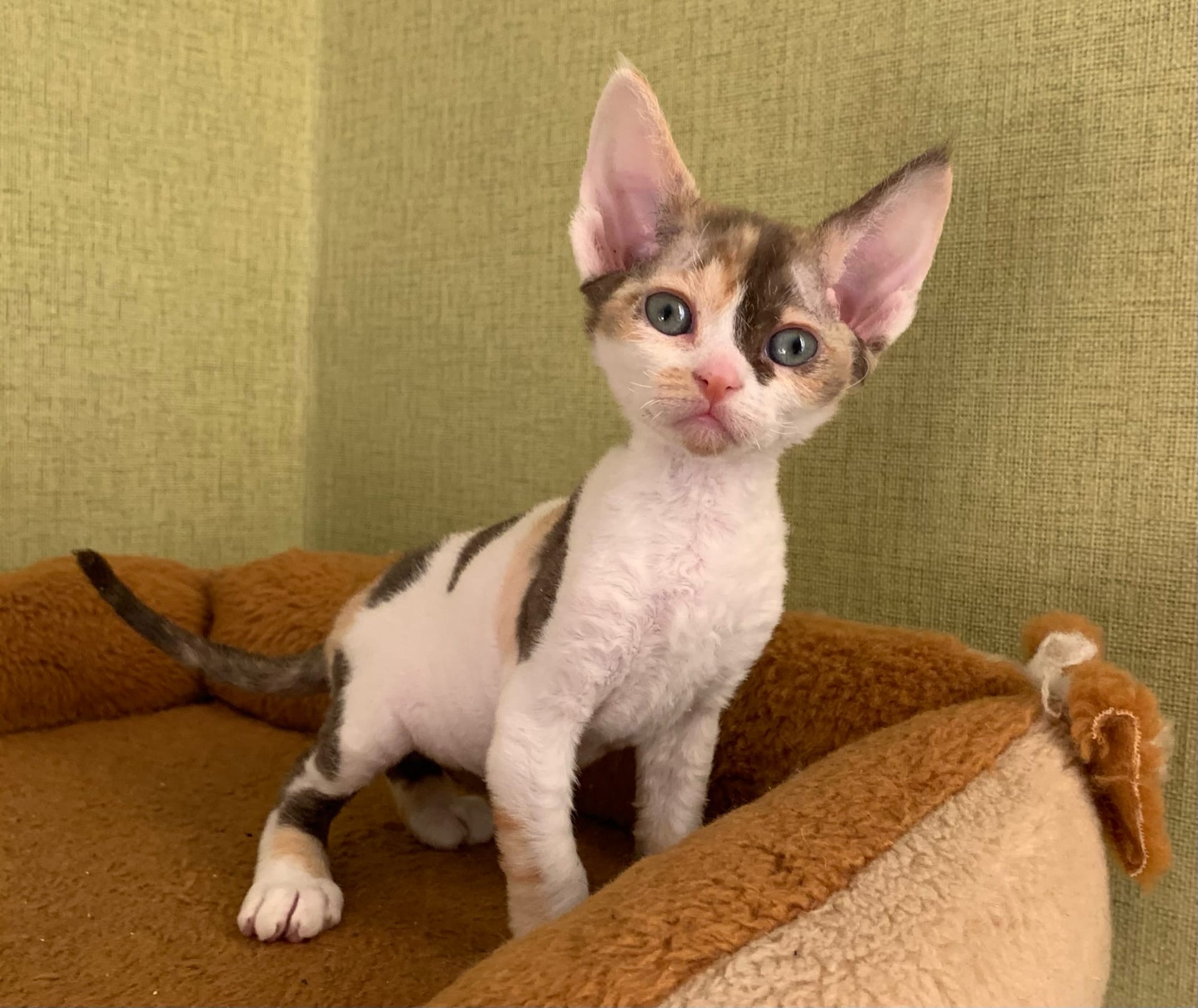 Вы на кухню, я с вами